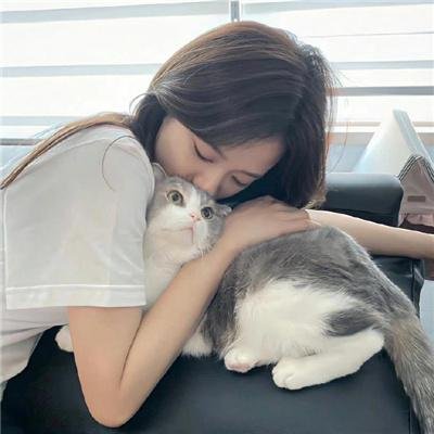 蔷薇处处香